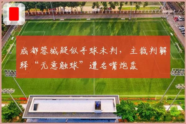 成都蓉城疑似手球未判，主裁判解释“无意触球”遭名嘴炮轰