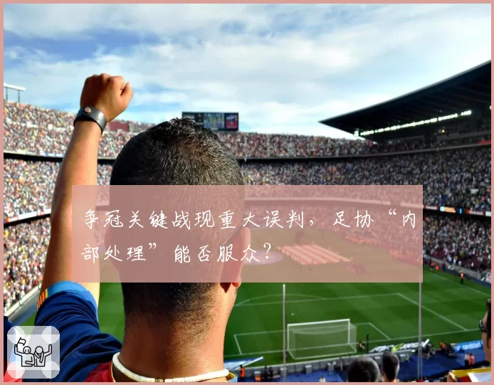 争冠关键战现重大误判，足协“内部处理”能否服众？
